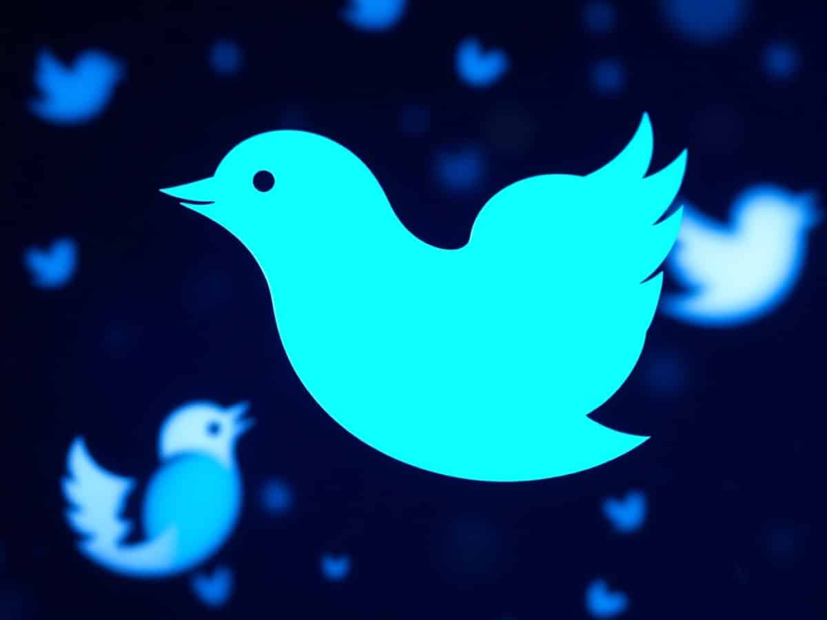 Une start up veut récupérer Twitter et lancer un nouveau réseau sans Elon Musk