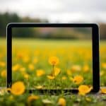 Featured image placeholder 16:9