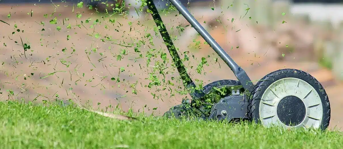 Phone displaying a lawn mapping screen while a robot mower sits on grass