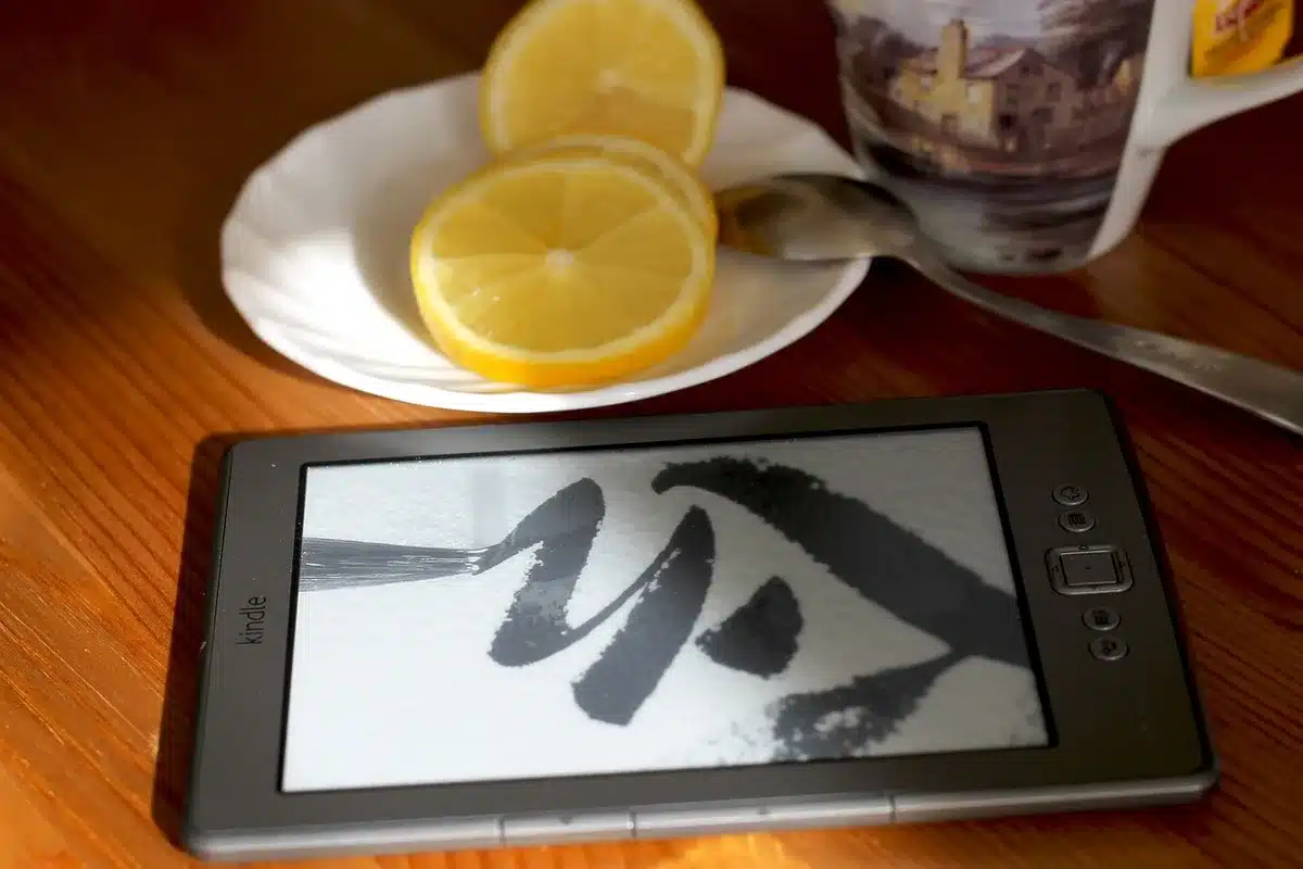Reader holding an aluminum-backed e-reader in daylight