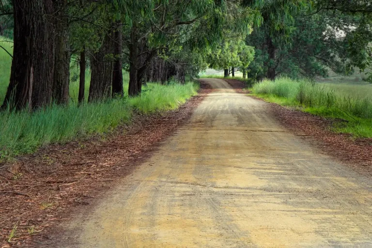 Peugeot-style compact hot-hatch parked on a wet country lane, daylight view